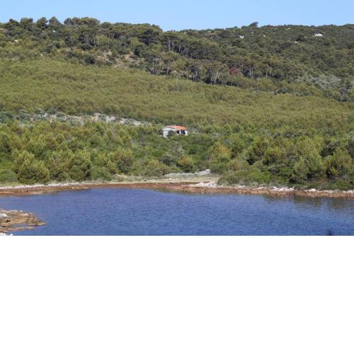 Secluded holiday house Cove Jaz - Telascica, Dugi otok - 8176