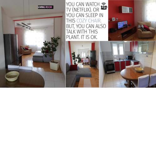 Spacious family apartment with parking in the shade and barbecue house