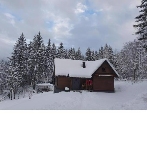 Starry Laz mountain house