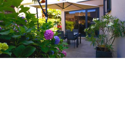 Stay in the very heart of Poreč - 50m to the beach