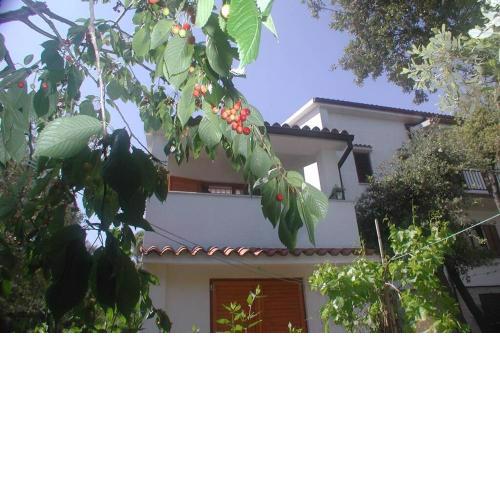 Štinjan-Studio apartment Petrić