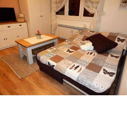 Studio APARTMAN TVRTKO