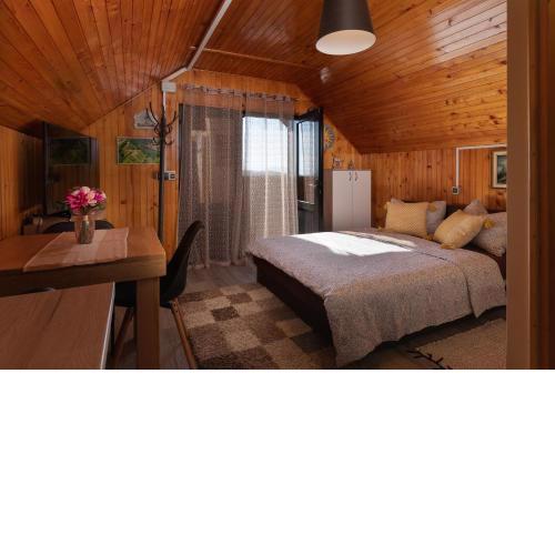 Studio apartman Vidikovac