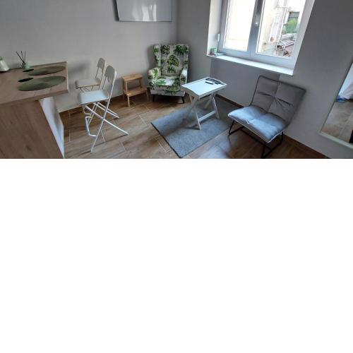 Studio apartment in center of Zagreb "Vidra"