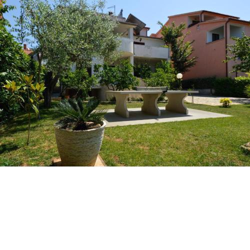 Studio in Pjescana Uvala/Istrien 11166