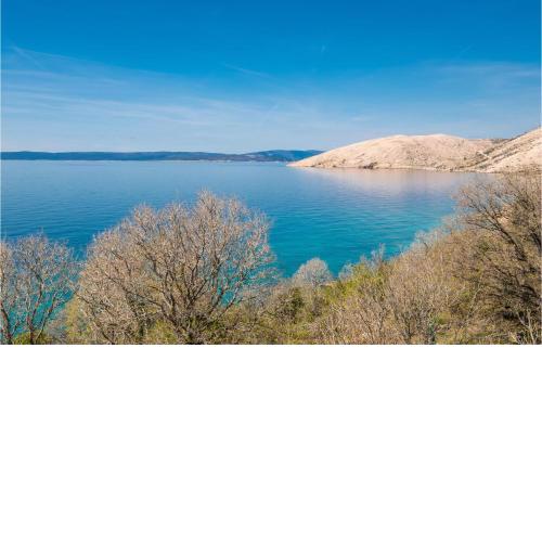 Stunning Home In Punat With Kitchen
