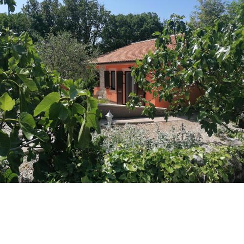 The Forest House Krk 2