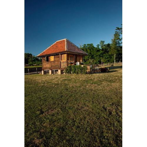 Tiny house AMBAR