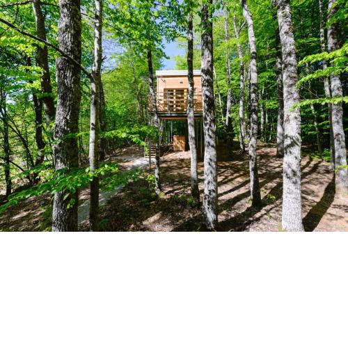 Treehouse Lika1
