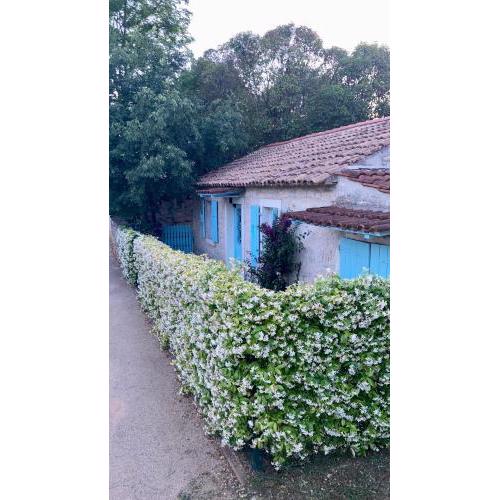 Vila Majda