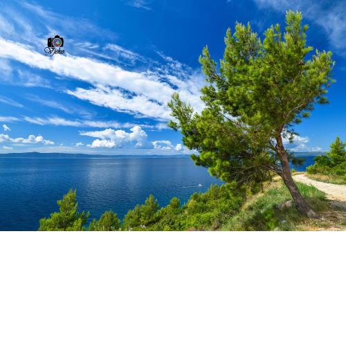 Vila Maslina Apartments mit Pool und Garten nahe am Strand