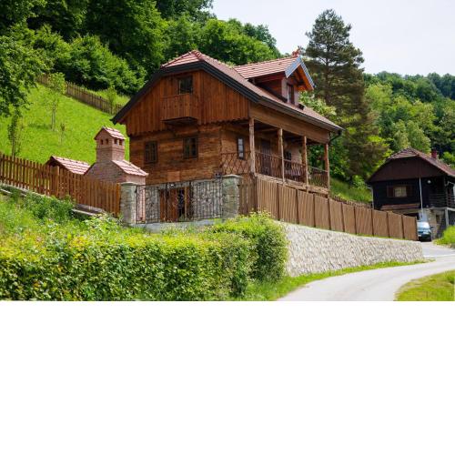 Vila Trnoružica