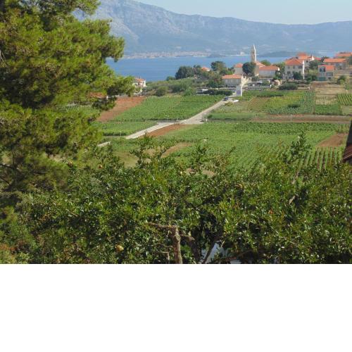 VILLA Apartments Mate Cebalo