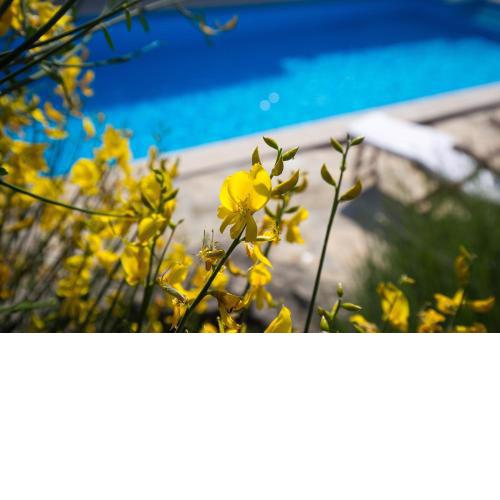 Villa Menta 1