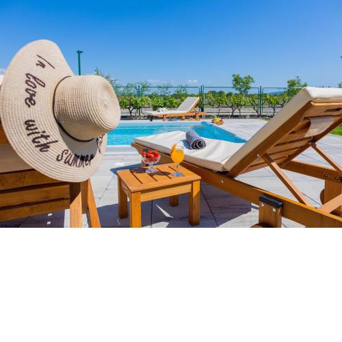 Villa Olive tree