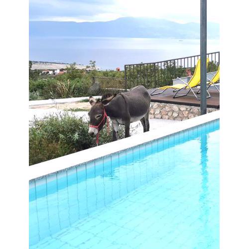 Villa Suzi Donkey farm with seaview