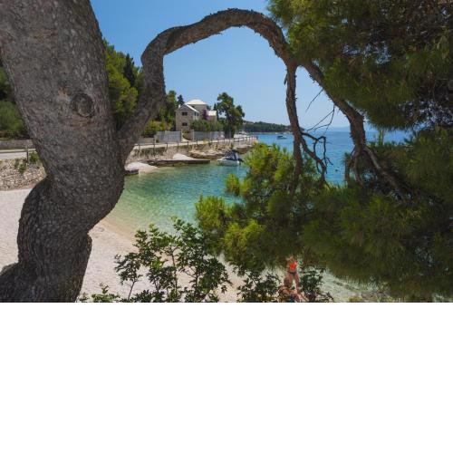 Villae Dalmaticae - Plava