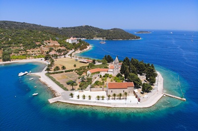 Vis 